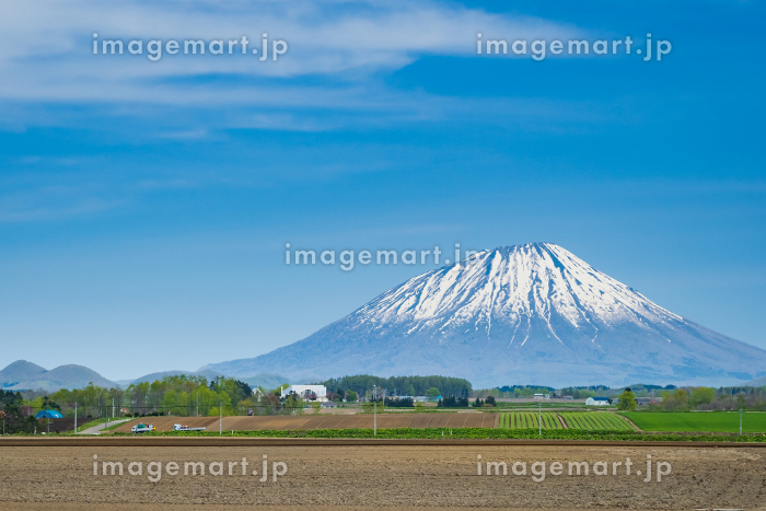 雲海にそびえる蝦夷富士がすばらしい 北海道 羊蹄パノラマテラス雲海ドライブ＆スポット Spot