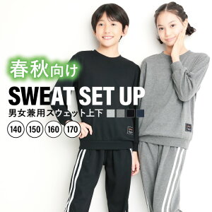 ボストンバッグ 修学旅行 小学生 修学旅行バッグ