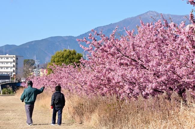 神奈川県厚木市の道祖神・神社仏閣～妻田西 妻田南 下川入 三田 棚沢