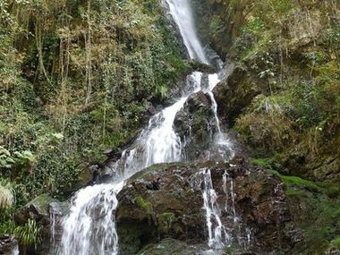愛媛 一度は行ってみたい「白滝公園紅葉ライトアップ」のレビュー -四国観光ガイド 桜・紅葉・ホタル・イルミネーションの絶景＆おすすめスポット