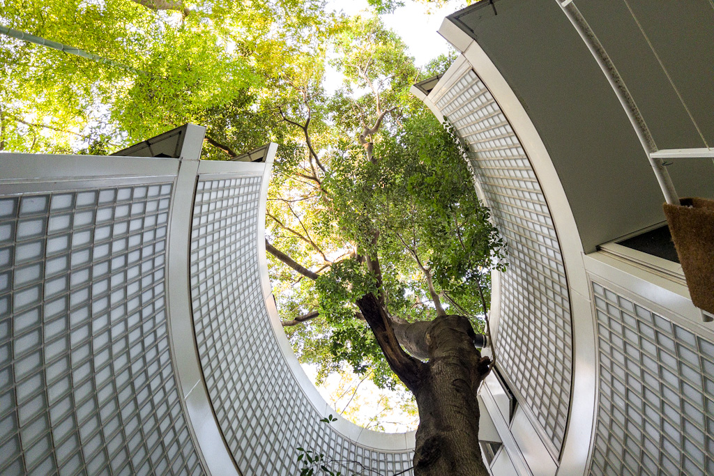 2019テラスハウス東京編』ロケ地＆デートで行ったお店はどこ？アクセス・メニューまとめNAVITIME Travel