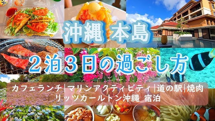 読谷村の絶景ランチスポット 海前でいただく「おきなわポークビレッジ ミートハウス