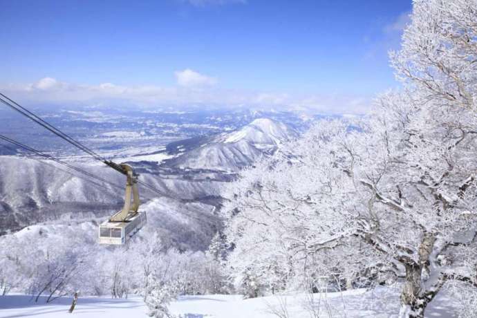 長野県の冬のイベント８つ。雪まつりやライトアップなど厳冬期の催しをピックアップGo! NAGANO 長野県公式観光サイト