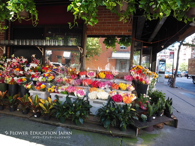 世界の花屋の定期便とは？口コミや評判、届くお花をご紹介