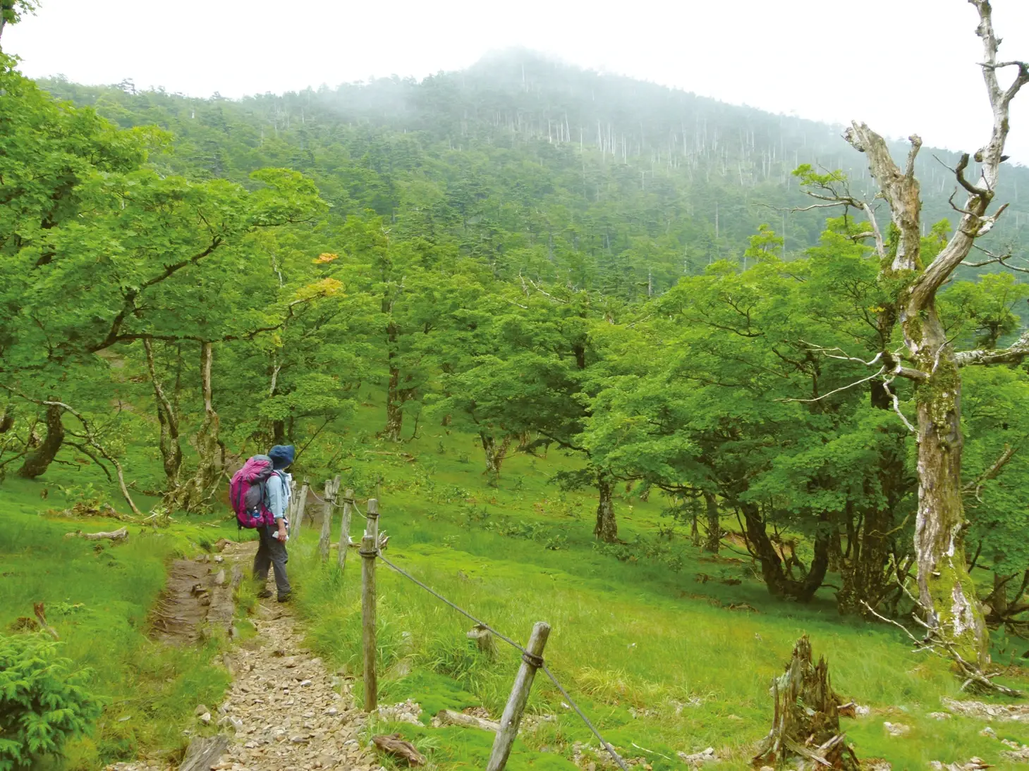 近畿最高峰の百名山 大峰山脈の八経ヶ岳へテント泊登山 前編 -