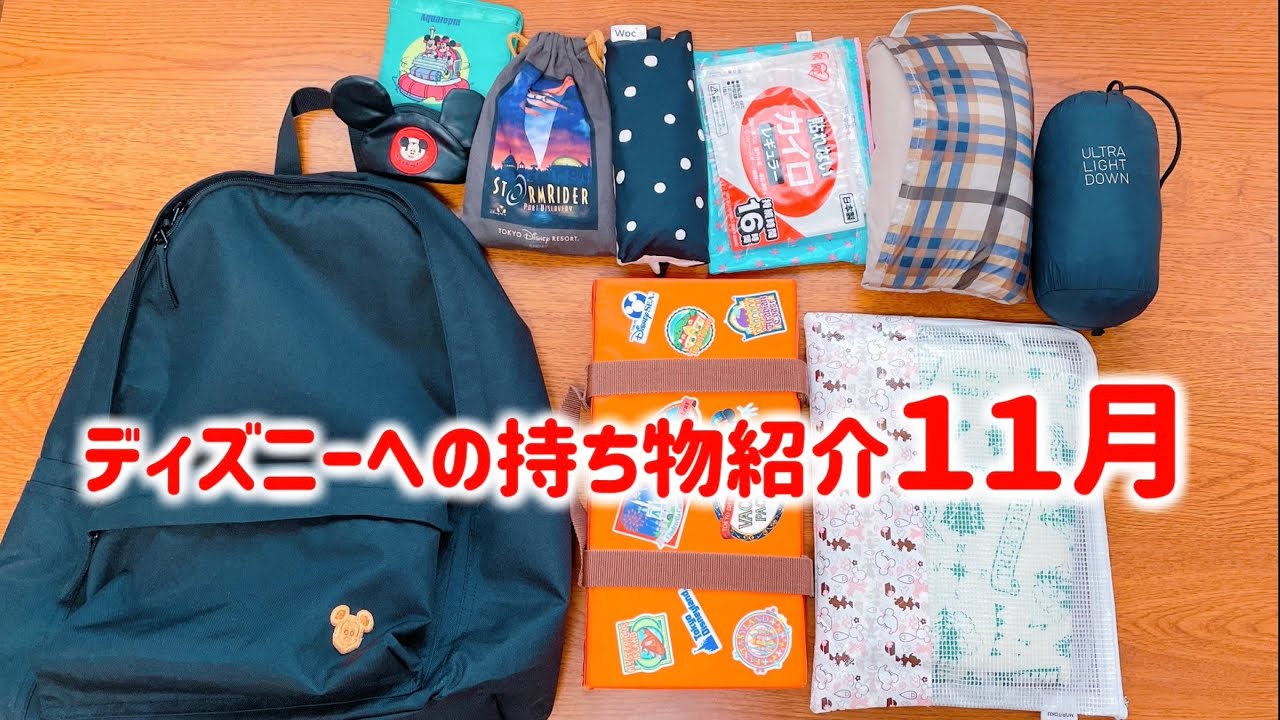 子連れディズニー持ち物通年: パークへの必需品を準備しよう！TikTok