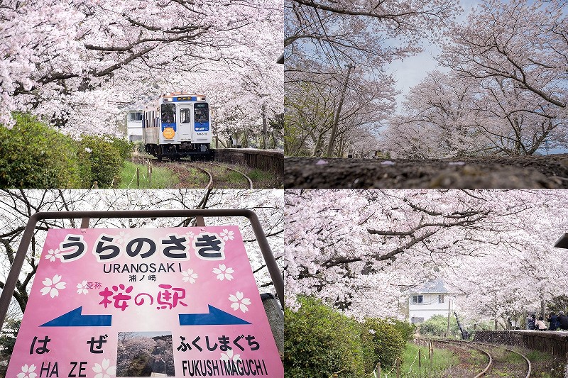 おきらく娯楽工房 on X: