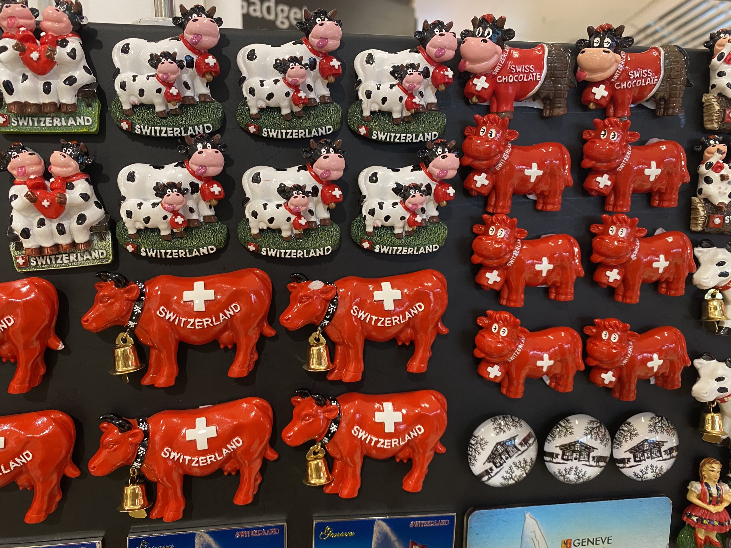 国連ジュネーブ事務局 パレ・デ・ナシオン 見学ツアー