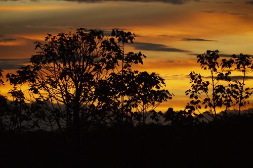 ジャングルクルーズ宿泊マナウス アマゾン旅行の観光・オプショナルツアー予約 VELTRA