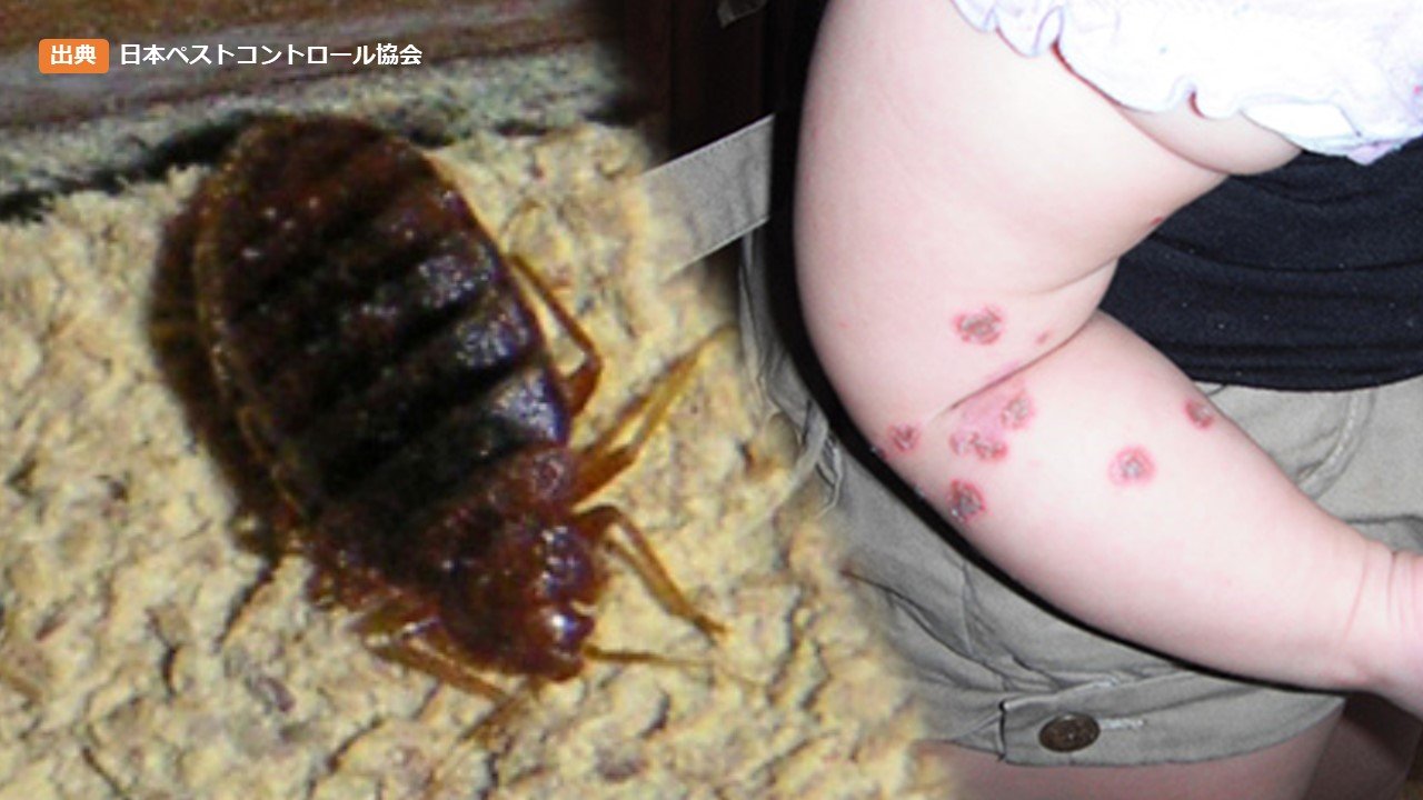 レゴランドジャパンホテル – 金城ふ頭の観光ガイド360@旅行ナビ