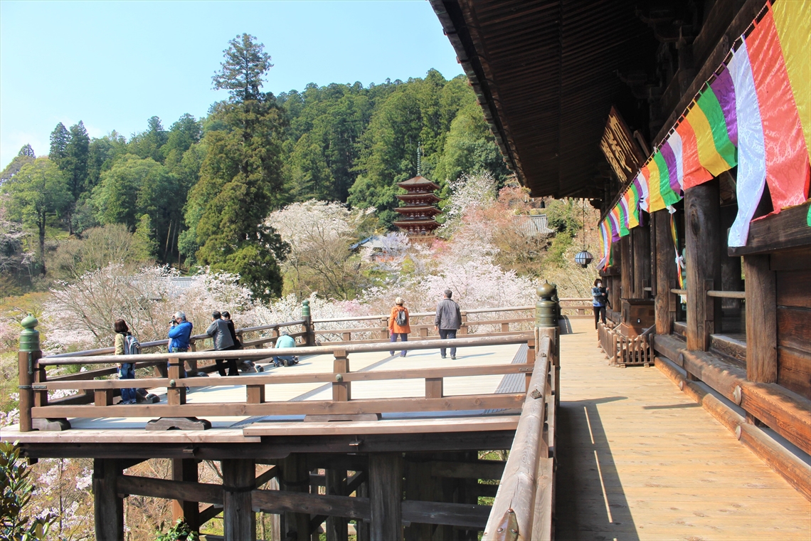 奈良・長谷寺の絶景名所「あぢさゐ回廊」は大賑わい。昭和レトロ好きには最高！なカメラ旅４K