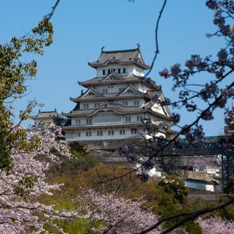 福山城は、日本一駅から〇〇〇！？福山城カツナリ・デ・ナイト