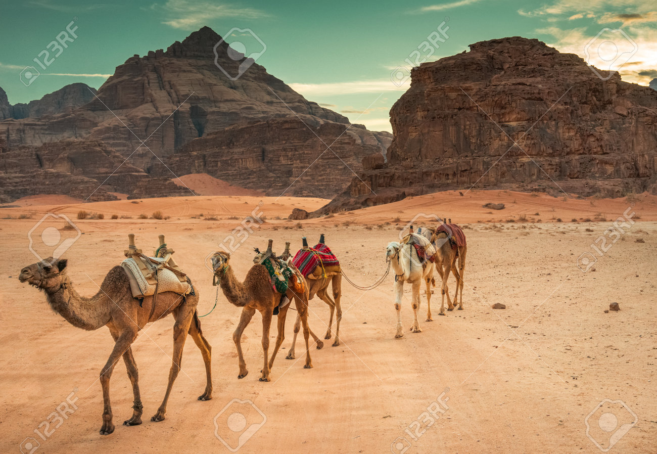 ヨルダンの世界遺産ワディ・ラムの砂漠の写真素材FYI00435535ストックフォトの Qlean Market キュリンマーケット