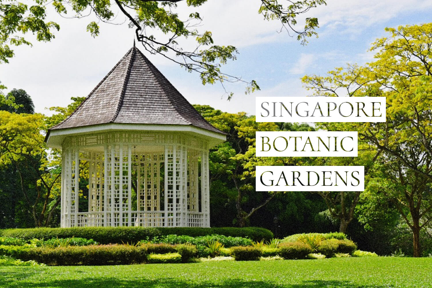シンガポール唯一の世界遺産 シンガポール・ボタニック・ガーデンSingapore Botanic Gardens: Lucky