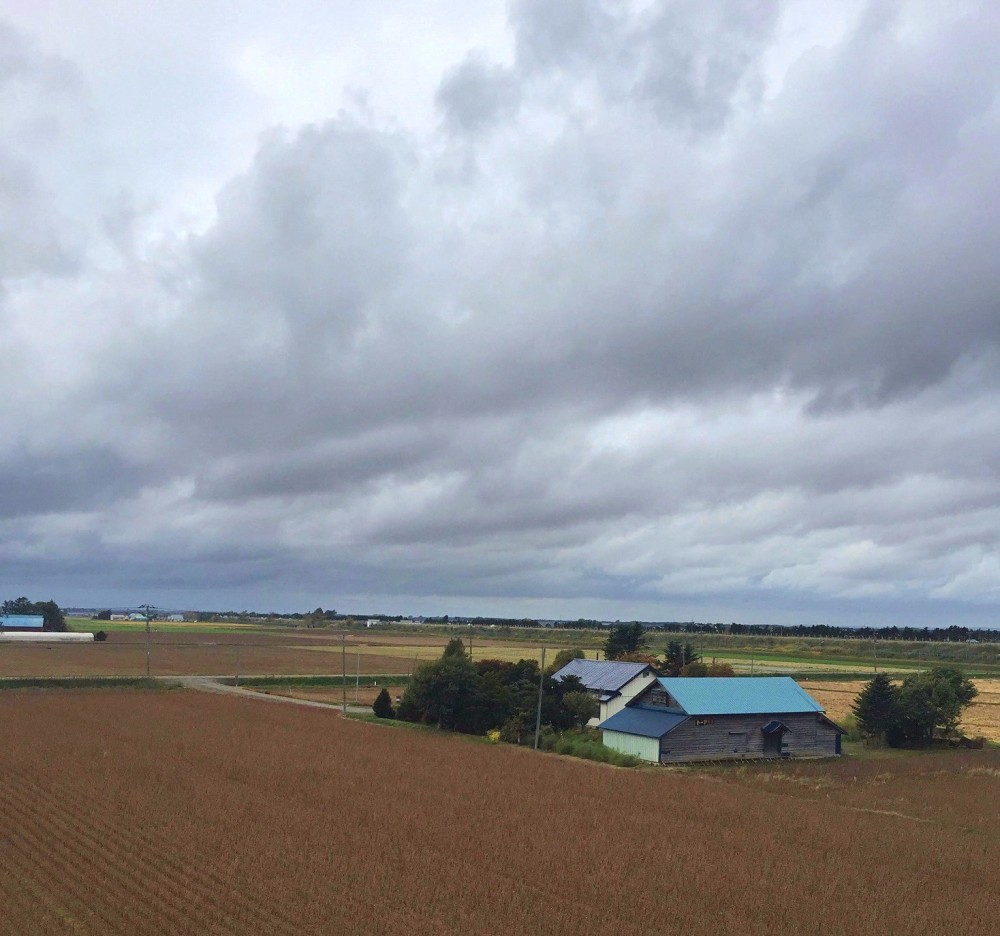 ローカル線各駅停車の旅・室蘭本線 苫小牧―岩見沢 ＆函館本線