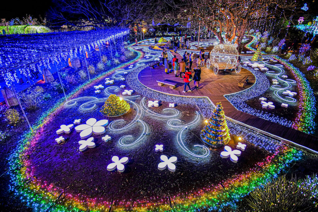 あしかがﾌﾗﾜｰﾊﾟｰｸｲﾙﾐﾈｰｼｮﾝ2025-2026いつまで?点灯時間やﾁｹｯﾄ情報まとめこだわり女子のブログ