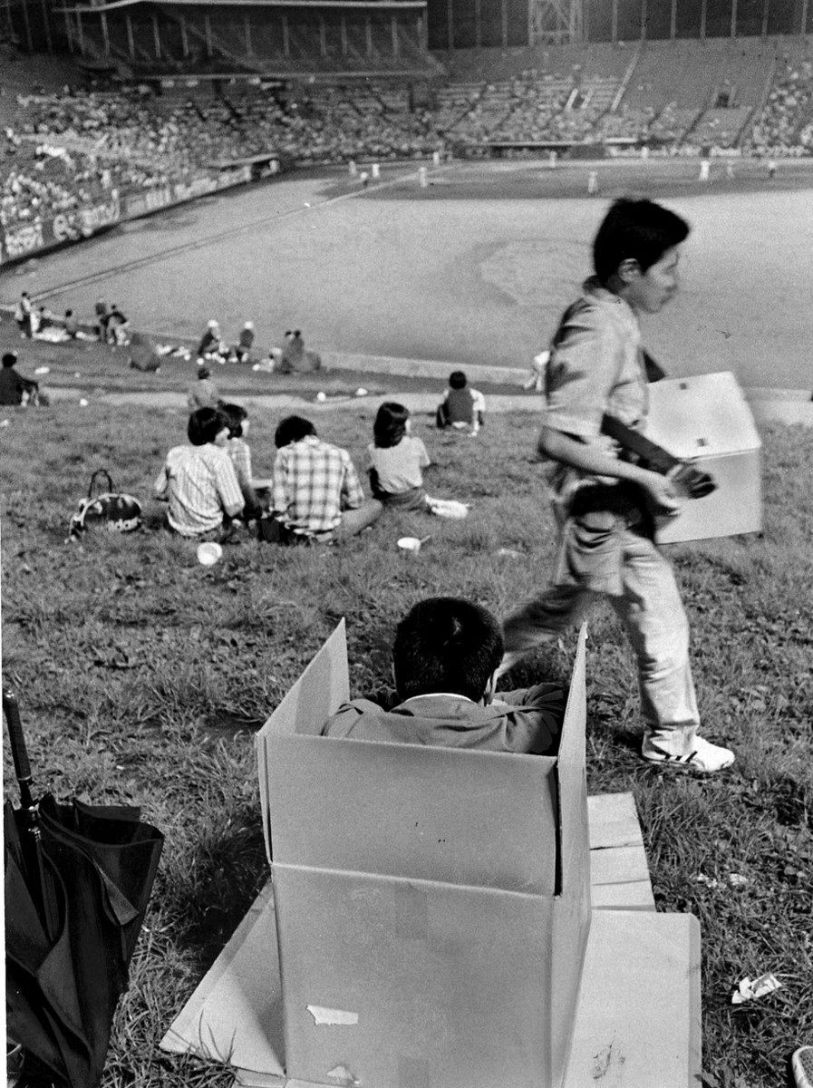 神宮球場の芝生の上からの風景の写真素材50390168- PIXTA