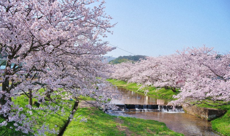 タイムセール特別企画 神々が集う神在月の出雲へ 島根・鳥取3日間～2つの名湯 玉造温泉・三朝温泉に宿泊・出雲大社・出雲神楽・鳥取砂丘・松江城 ・小泉八雲記念館～