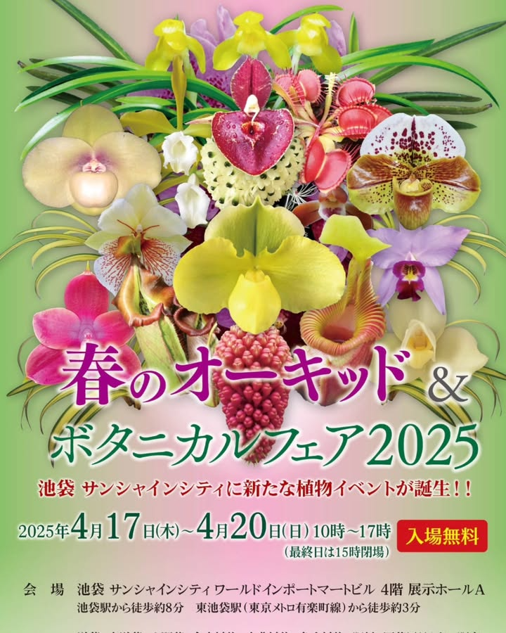 Luce Twinkle Wink☆「Fight