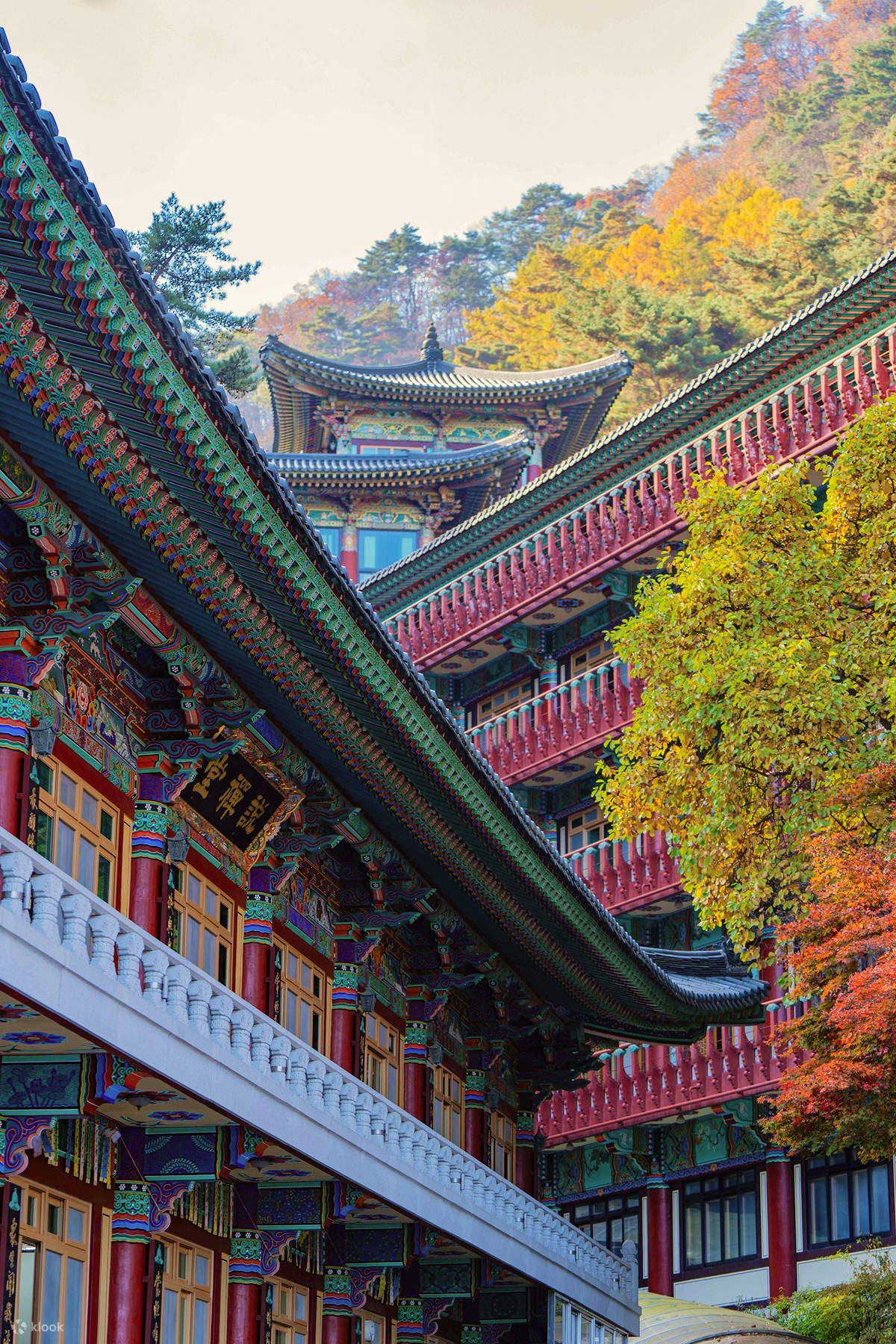 みえぽんの167回目韓国旅行－初めての晋州南江流灯祭りと大邱の八公山お寺巡り 把渓寺、符仁寺、桐華寺 の旅 2017