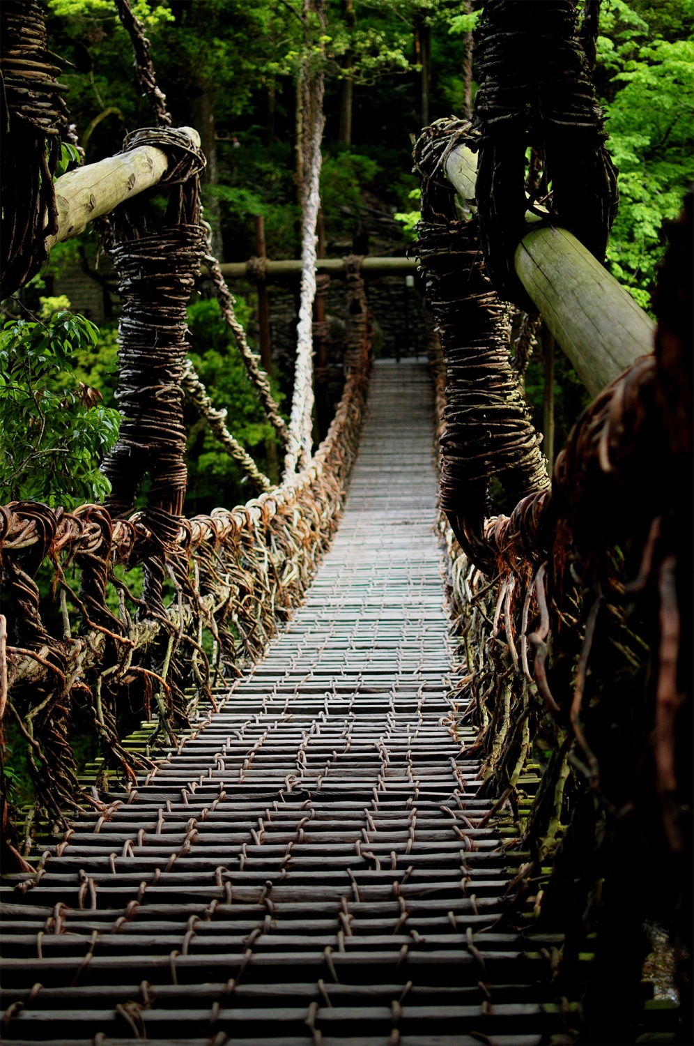 徳島県「祖谷のかずら橋」をレビュー歴史ある秘境のスリル満点な見どころを紹介フレーム