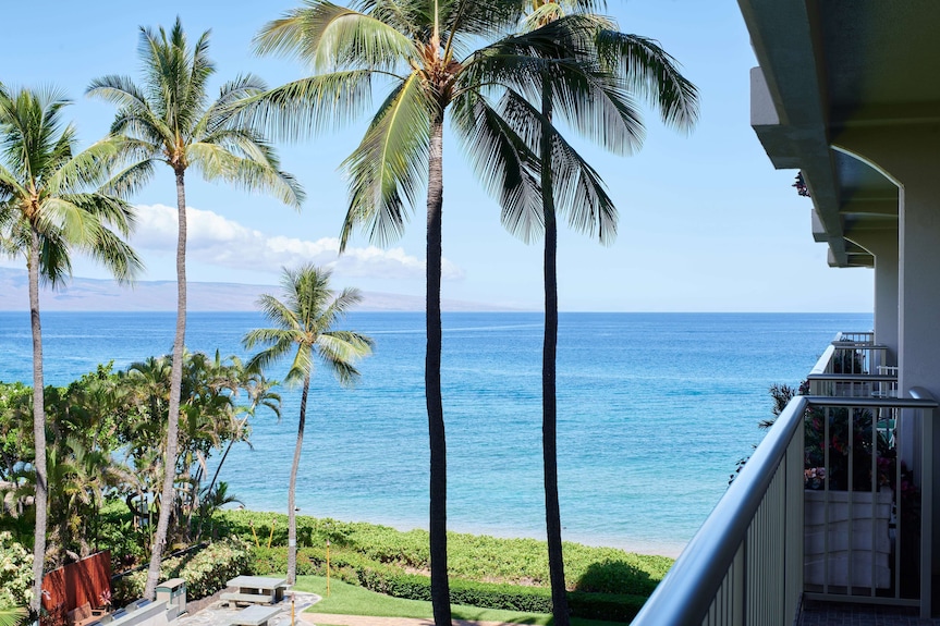 マウイの風に吹かれて ② カパルアのビーチとカアナパリ』マウイ島 ハワイ の旅行記・ブログ