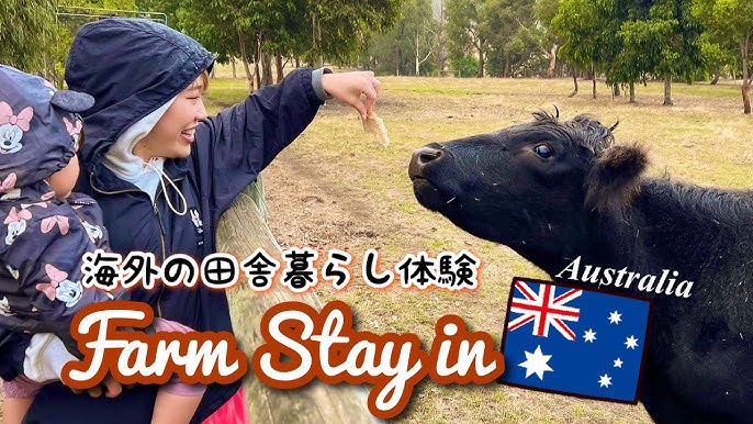 オーストラリアの田舎で暮らせば㉘画家アーサー・ボイドが描いた自然 – トピックス日豪プレス - オーストラリアの生活情報サイトNICHIGOPRESS