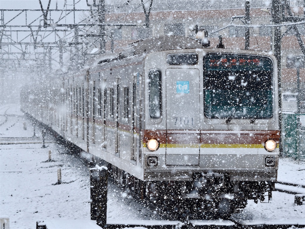 家族は武蔵野線に乗ってディズニーランドへ行き、私は野岩鉄道6050型に乗って檜枝岐村へ行くHK