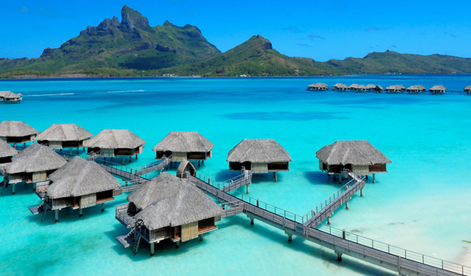 ボラボラ島の新婚旅行新婚旅行・ハネムーン予約 - アニバーサリートラベル