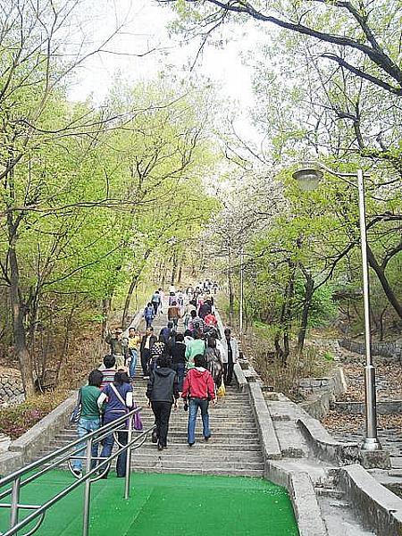 ソウル市内を見渡そう！Nソウルタワーへのアクセス、料金、絶景ポイントを解説！地球の歩き方