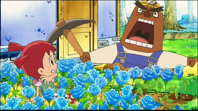 アポロの家 世界一 高い部屋 一覧