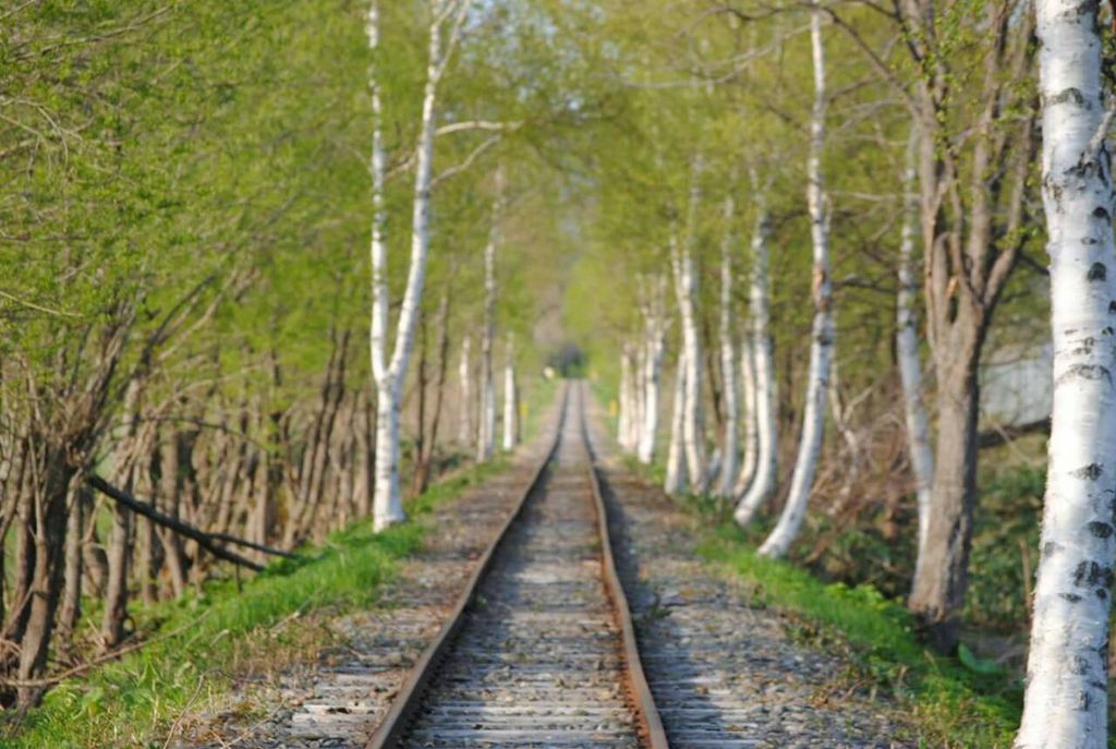 美深町 中川郡 の観光スポットランキングTOP10 -