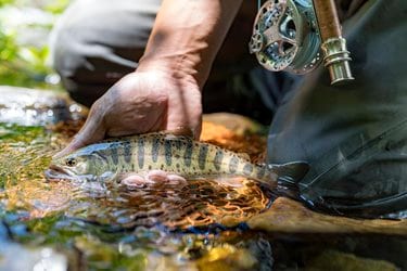 長野遠征 後編永久保存版 ぼくのなつやすみ