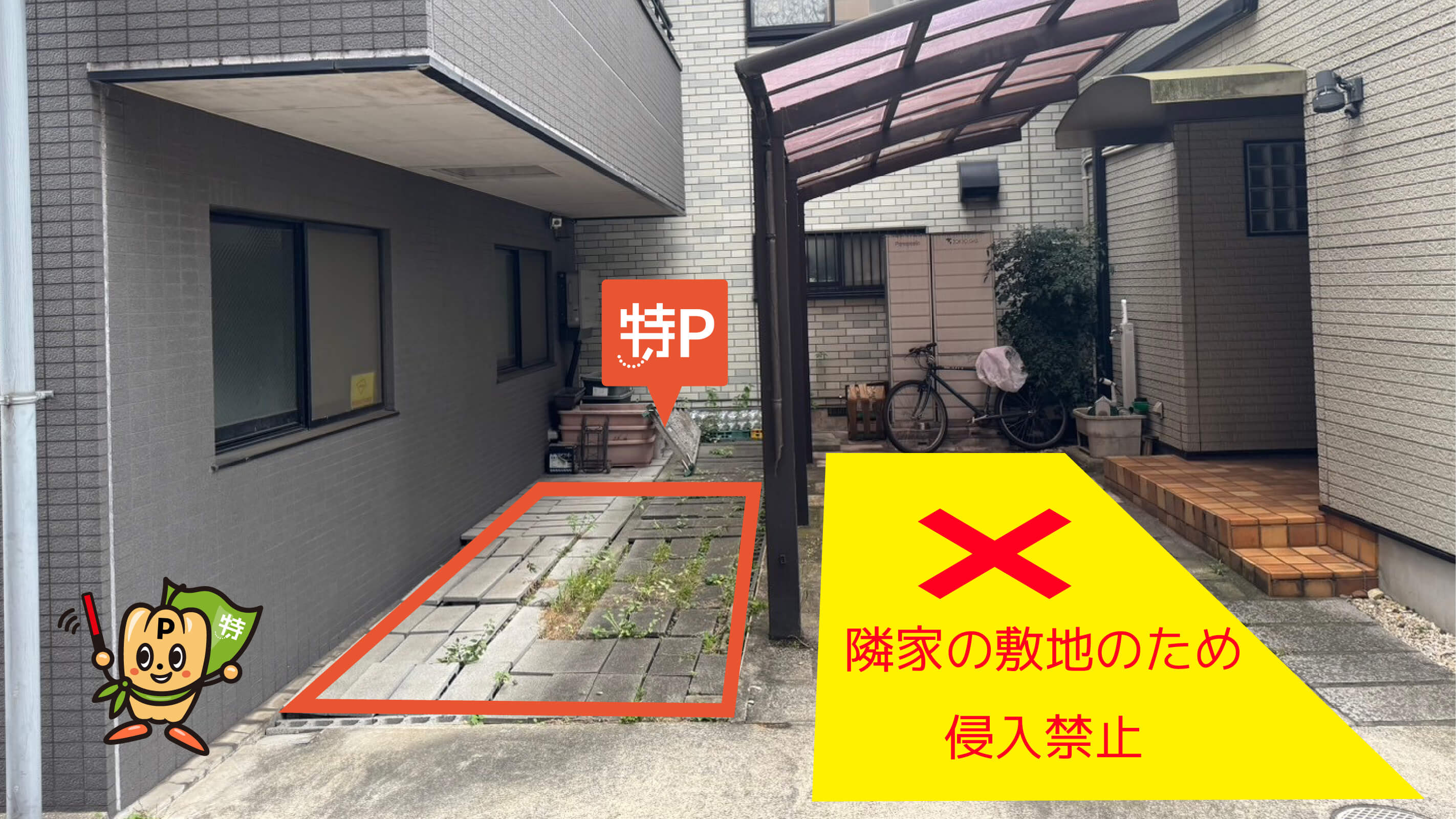 押上温泉大黒湯@daikokuyu.onsen• Instagram photos and