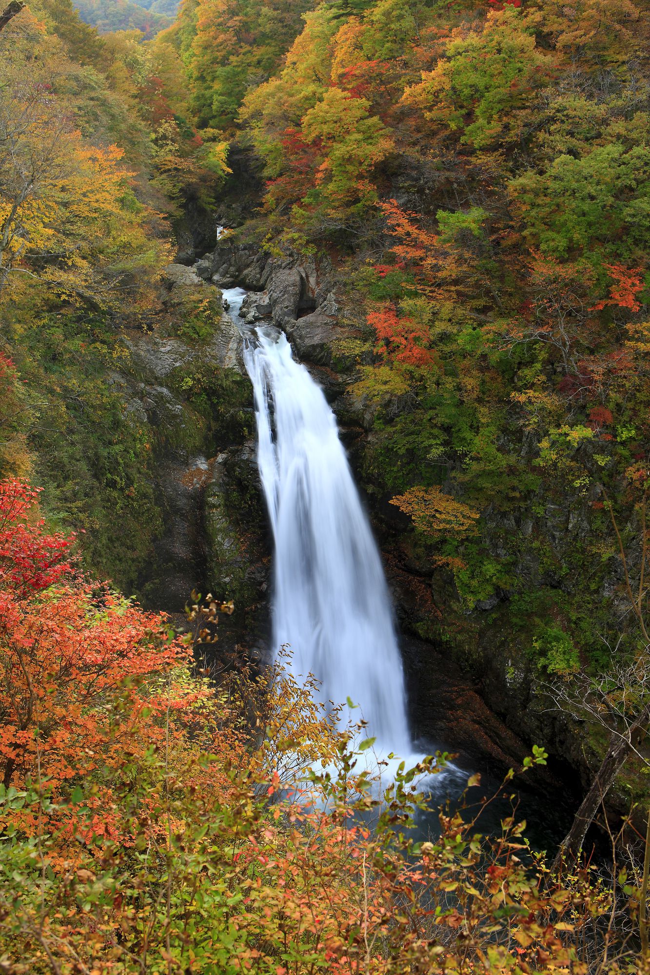 ご当地あんこの世界 さいちのおはぎ宮城県たびよみ