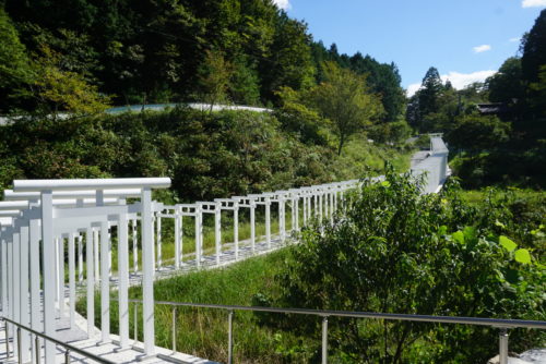 済渡寺真っ白な千本鳥居とアジサイの咲き誇る寺 岡山県新見市岡山スタイル