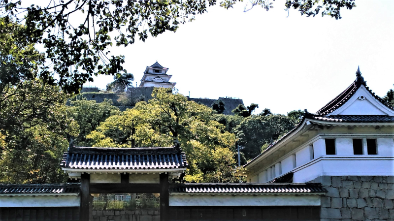 Amazon.co.jp: 新幹線から見える日本の名城 : 加唐亜紀: 本