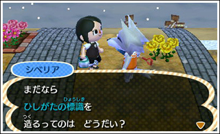 カーニバル 村のイベントとびだせどうぶつの森 -