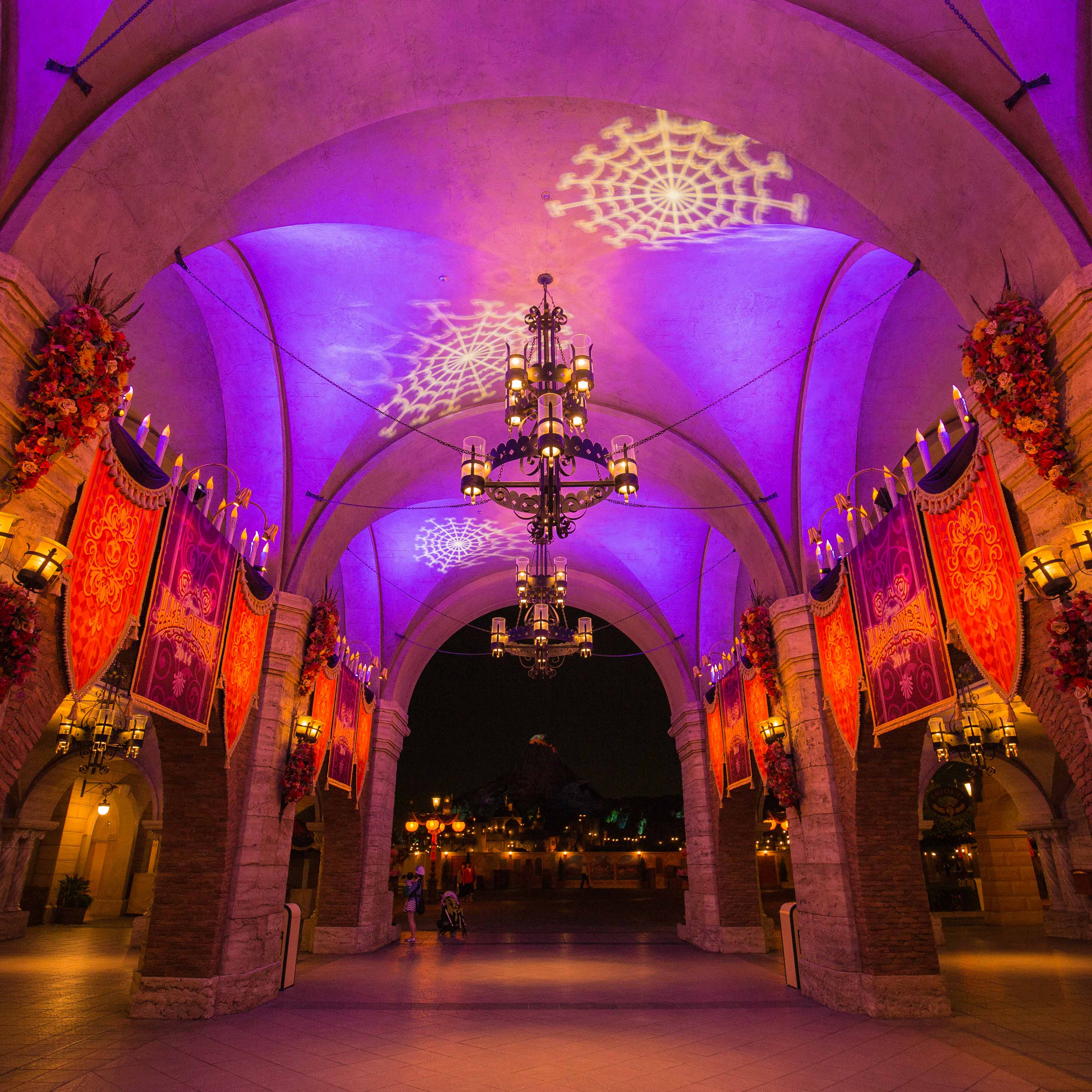 公式 東京ディズニーリゾート～ある日の一枚～東京ディズニーリゾート・ブログ東京ディズニーリゾート