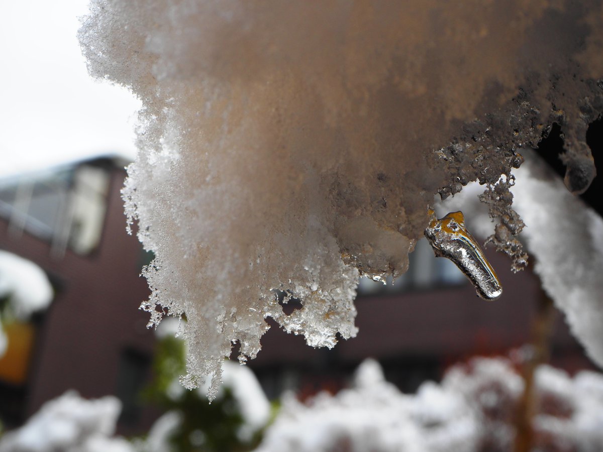 番外編 岐阜 郡上八幡