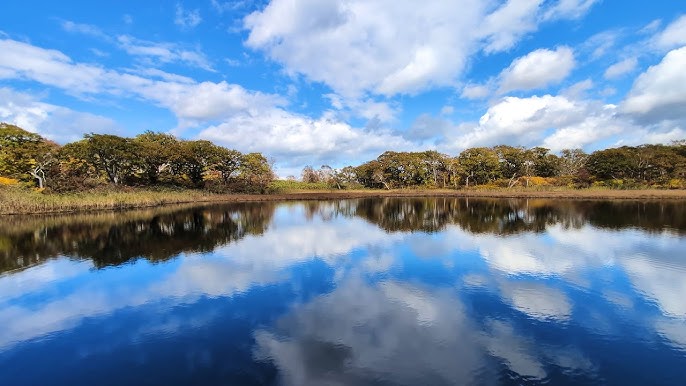 半月湖畔自然公園ニセコの原生林に抱かれた無垢な水辺で深呼吸たびらい