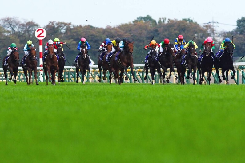 凱旋門賞 パリロンシャンやや重に回復も金土が変わらず雨予報 当日は重馬場想定 フランスギャロ発表競馬ニュース