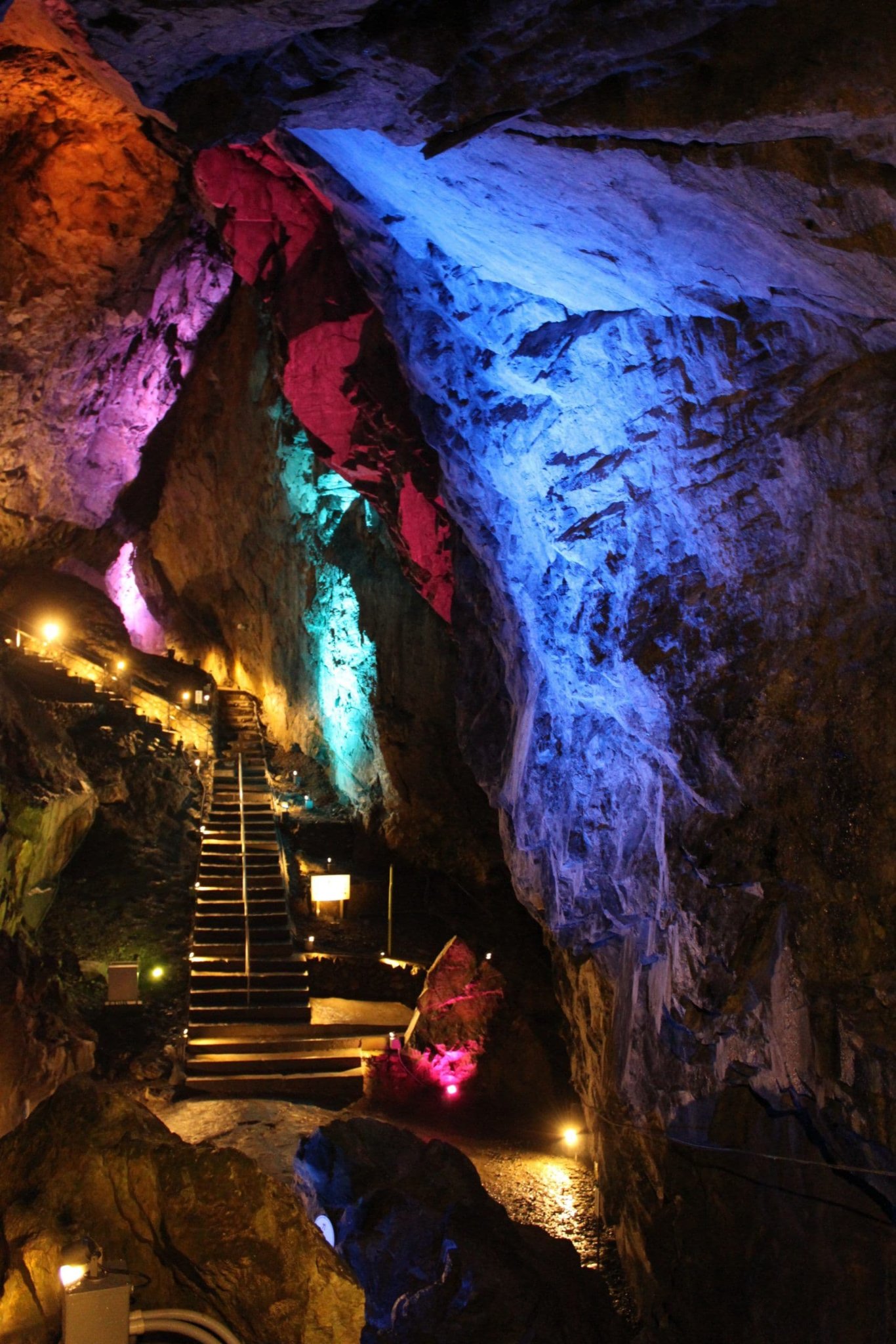 ばふぁろうず on X: 