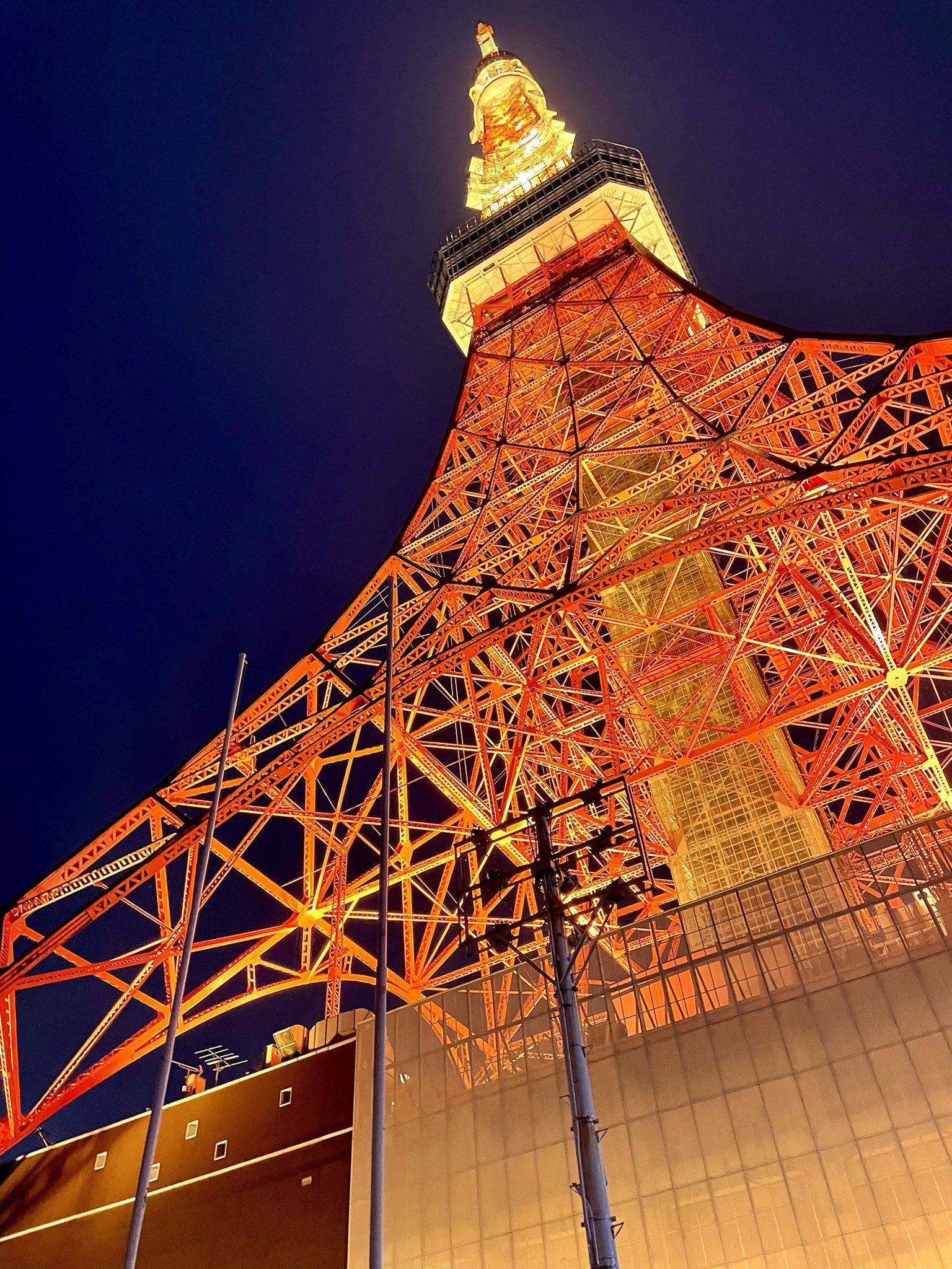 夜の東京タワーを下から撮影。「STREAM X」レビュー :