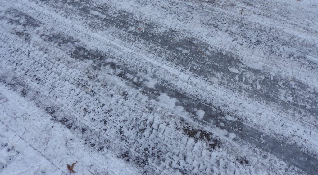 軽井沢で雪が降ってきたトコトコペンギン