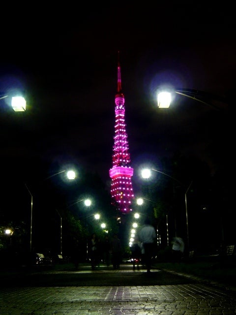 ピンクリボンのレインボーブリッジ＆東京タワー 東京屋形船案内