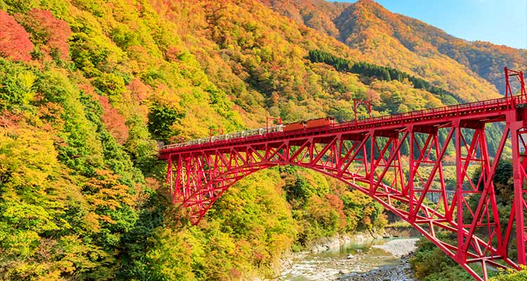 黒部峡谷トロッコ列車 紅葉シーズンです！ 富山 立山